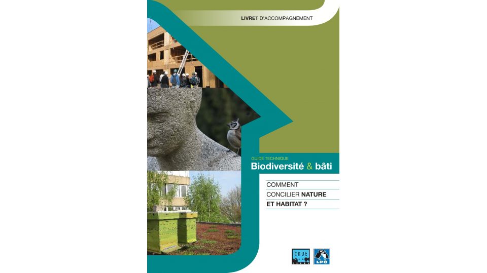 Biodiversité & bâti - Comment concilier nature et habitat