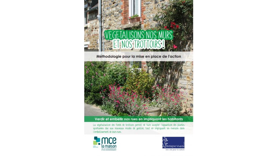 Végétalisons nos murs et nos trottoirs!