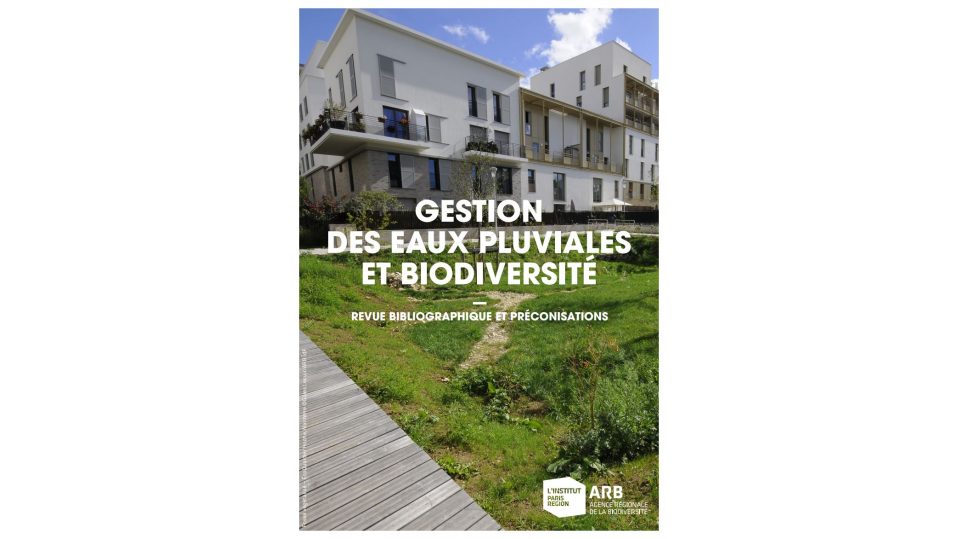 Gestion des eaux pluviales et biodiversité