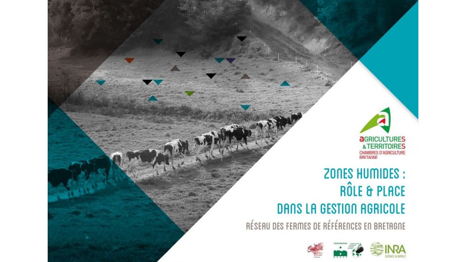 Zones humides: rôle et place dans la gestion agricole