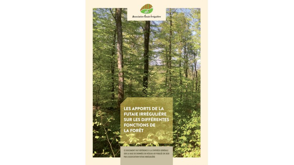 Les apports de la futaie irrégulière sur les différentes fonctions de la forêt