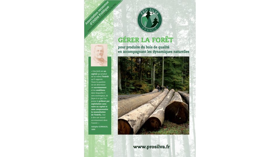 Gérer la forêt pour produire du bois de qualité en accompagnant les dynamiques naturelles