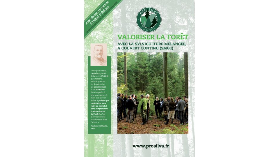 Valoriser la forêt avec la sylviculture mélangée, à couvert continu (SMCC)