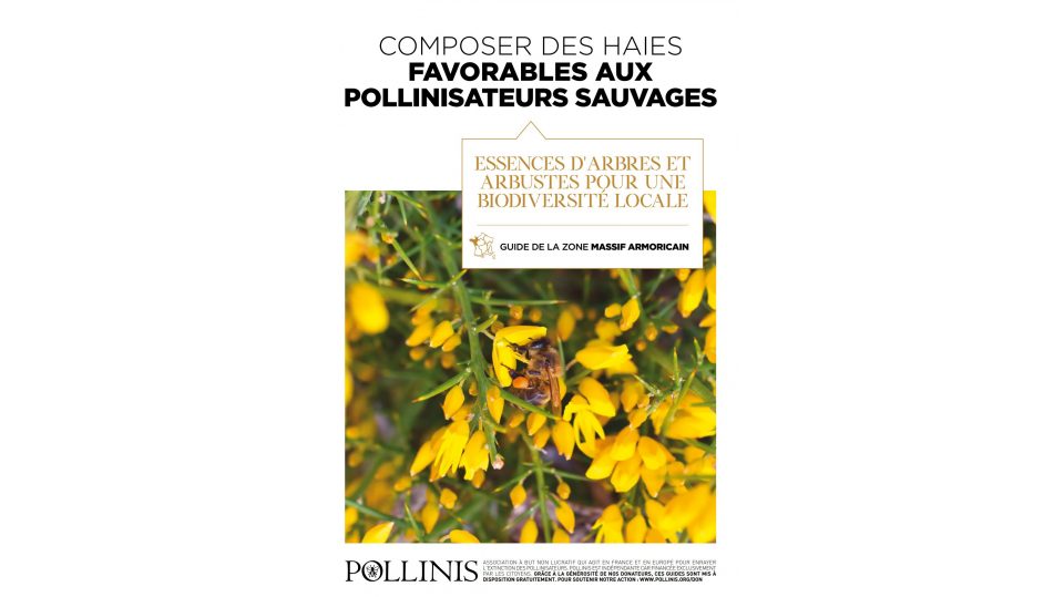 Composer des haies favorables aux pollinisateurs sauvages - Essences d'arbres et arbustes pour une biodiversité locale - Guide de la zone massif armoricain