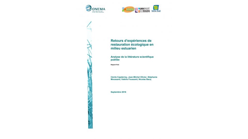 Retours d'expérience de restauration écologique en milieu estuarien