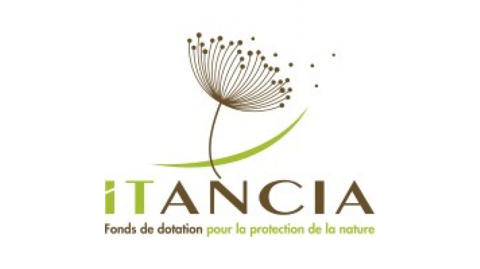 Fonds de dotation Itancia