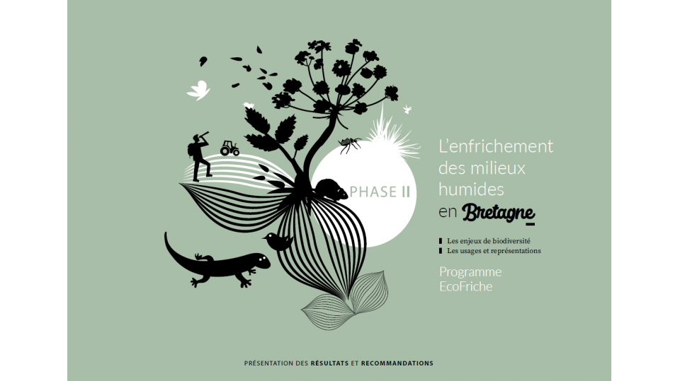 Programme EcoFriche phase 2 - L’enfrichement des milieux humides en Bretagne : enjeux de biodiversité, usages et représentations