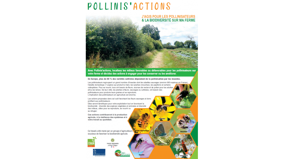 Pollinis'actions