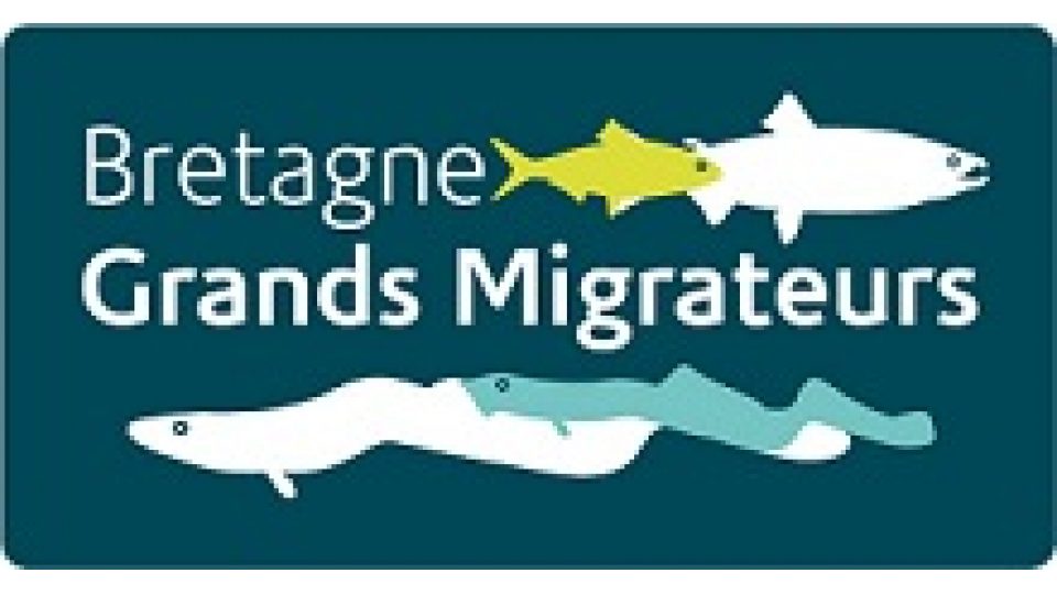 Guide méthodologique pour l’accès aux données sur les poissons migrateurs en Bretagne 