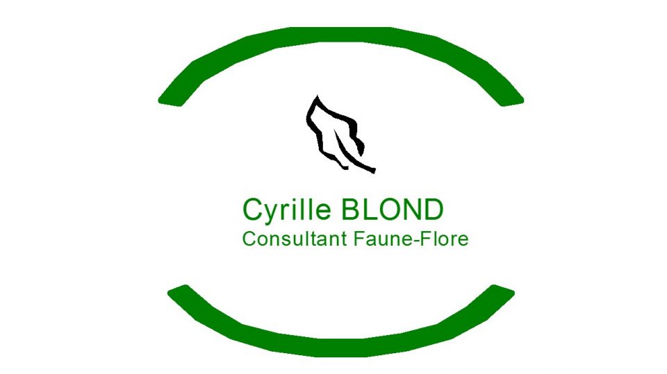 Cyrille BLOND